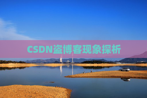 CSDN盗博客现象探析 CSDN盗博客现象探析